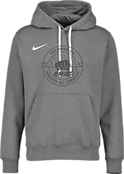 318285101101 NIKE Park 20 Flc Hood 318285101101 NIKE Park 20 Flc Hood Standard Small1x1