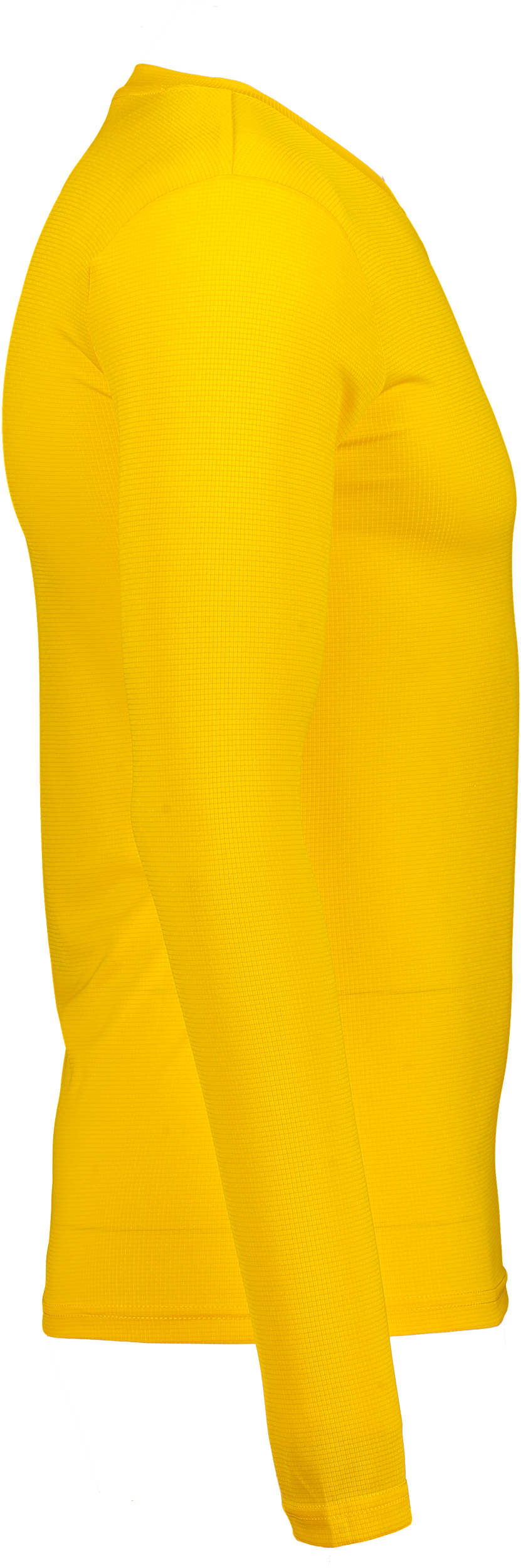 PUMA, T Goal Bl Ls Jsy Jr