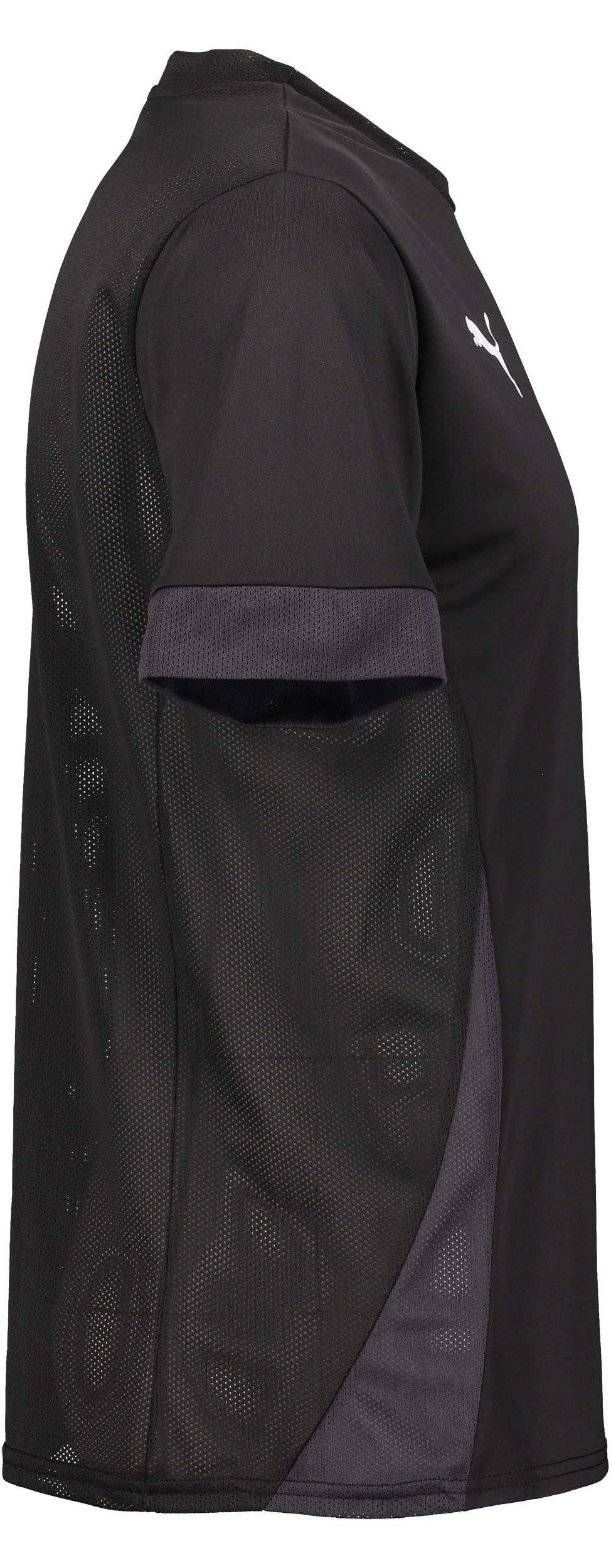 PUMA, T Goal Matchday Jsy Jr