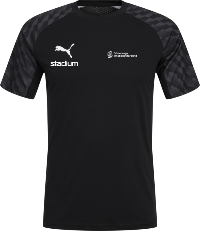 
PUMA, 
TEAMLIGA26 JERSEY, 
Detail 1
