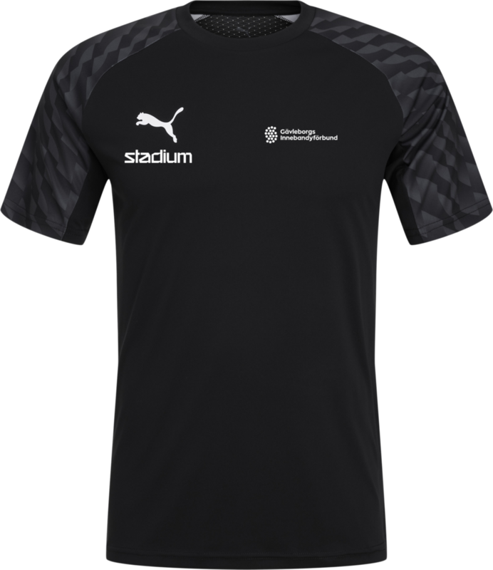 
PUMA, 
TEAMLIGA26 JERSEY, 
Detail 1
