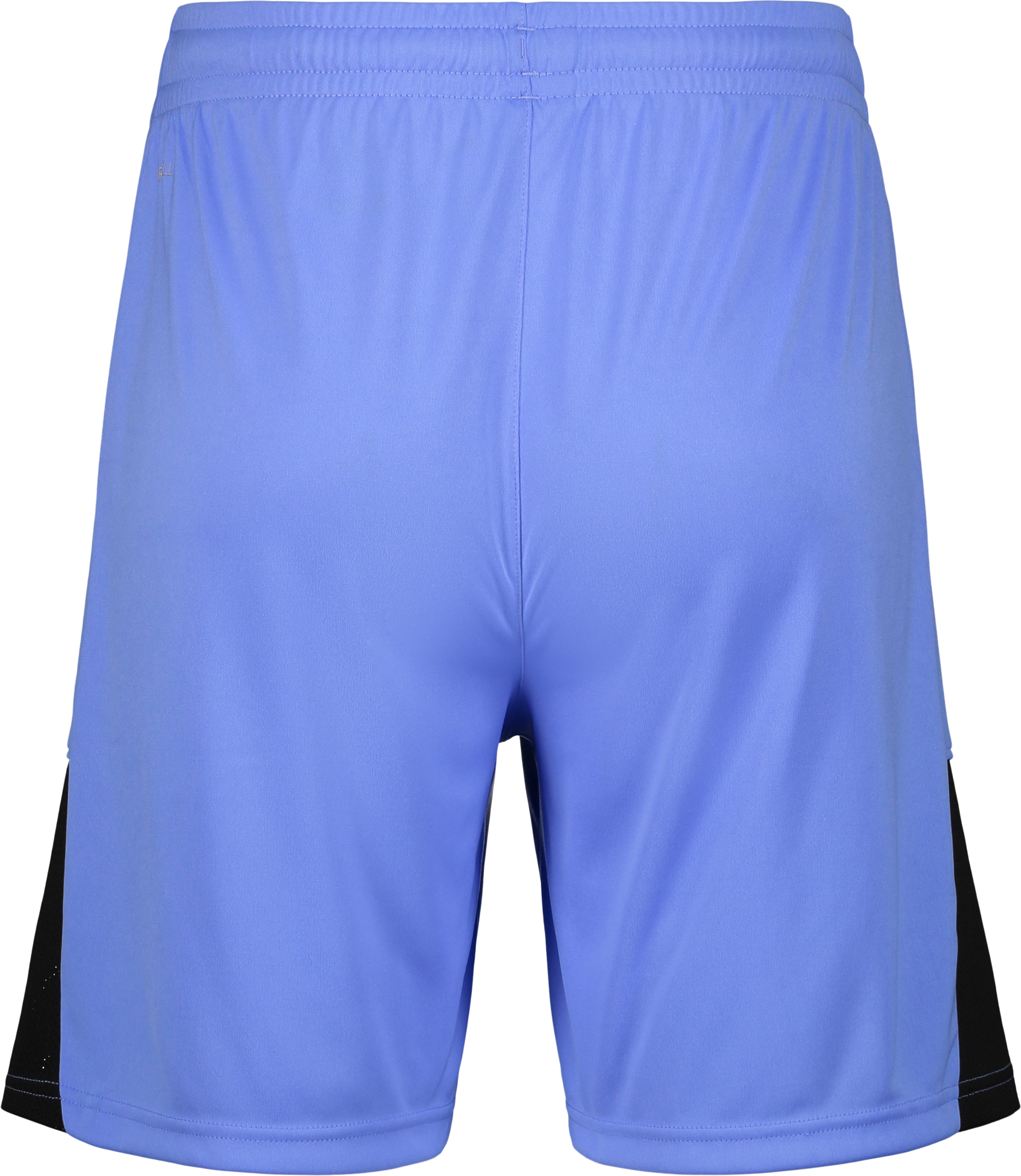 PUMA, TEAMLIGA26 SHORTS JR