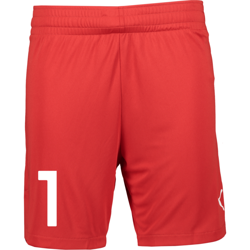 
PUMA, 
TEAMJAWS STARTER SHORTS JR, 
Detail 1
