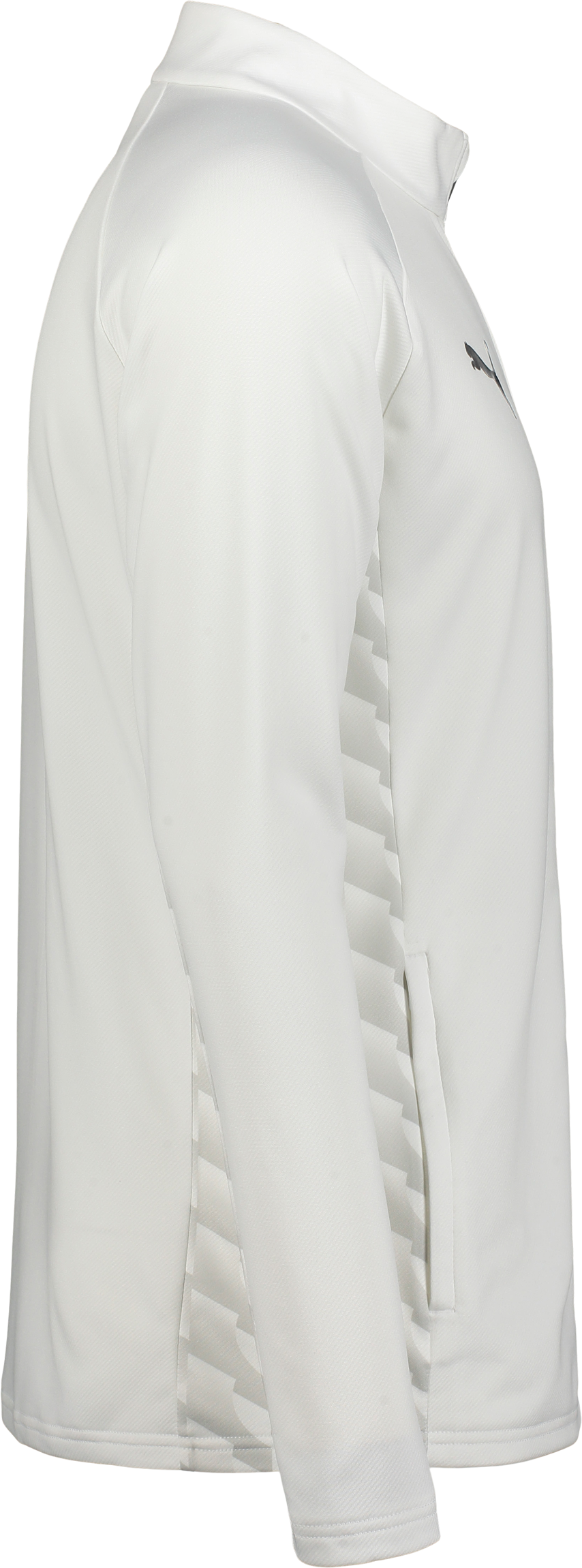 PUMA, TEAMLIGA26 TRAINING JACKET