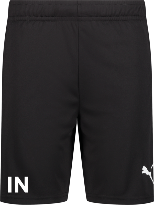 
PUMA, 
TEAMLIGA TRAINING SHORTS, 
Detail 1
