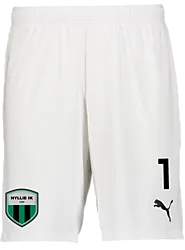 392286104101 PUMA T Goal Shorts Jr 392286104101 PUMA T Goal Shorts Jr Standard Small1x1