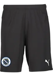 392286103101 PUMA T Goal Shorts Jr 392286103101 PUMA T Goal Shorts Jr Standard Small1x1