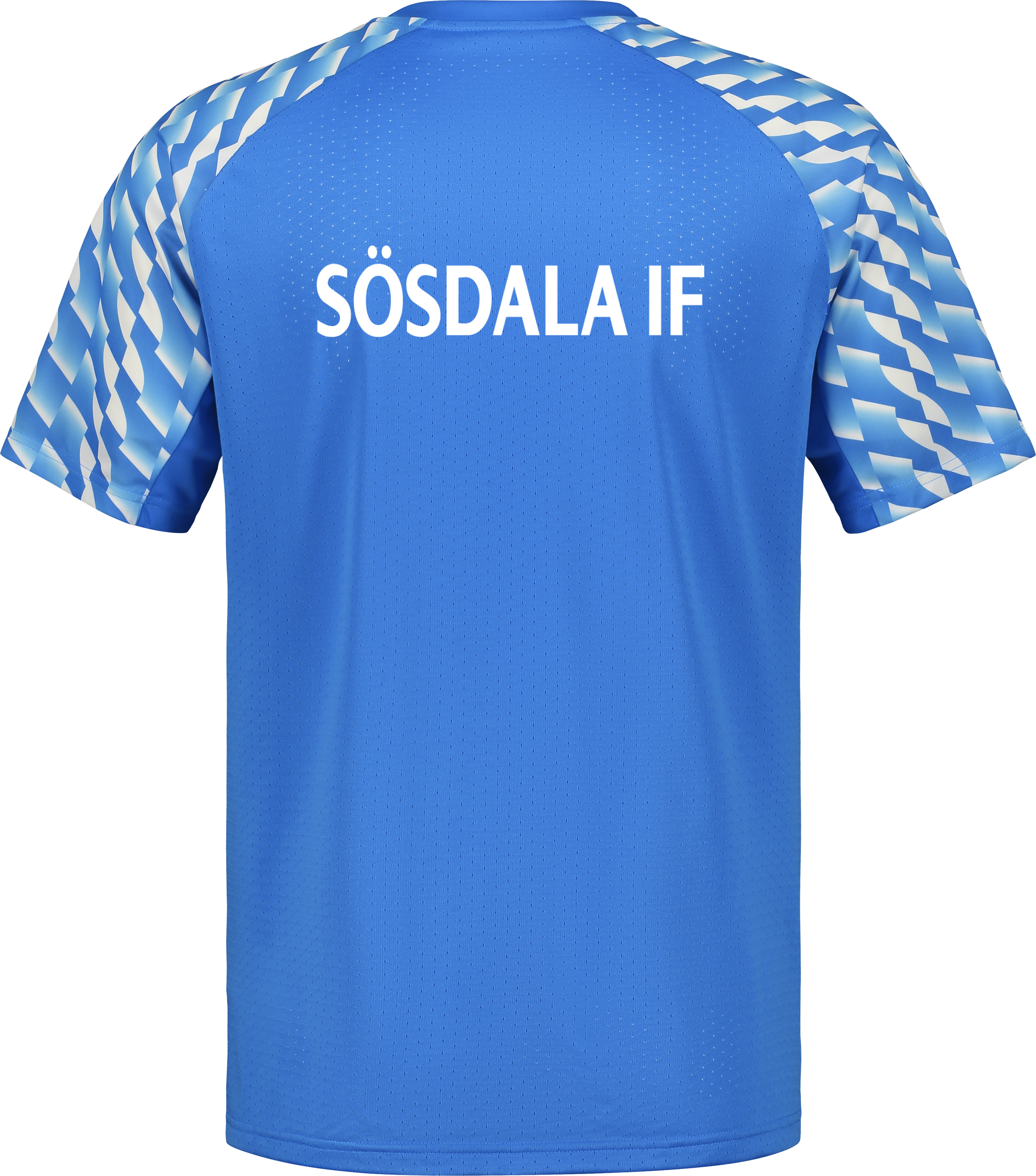 PUMA, TEAMLIGA26 JERSEY