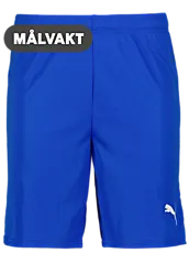 391942102101 PUMA T Goal Shorts 391942102101 PUMA T Goal Shorts Standard Small1x1