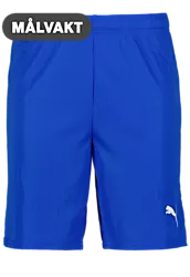 391942102101 PUMA T Goal Shorts 391942102101 PUMA T Goal Shorts Standard Small1x1