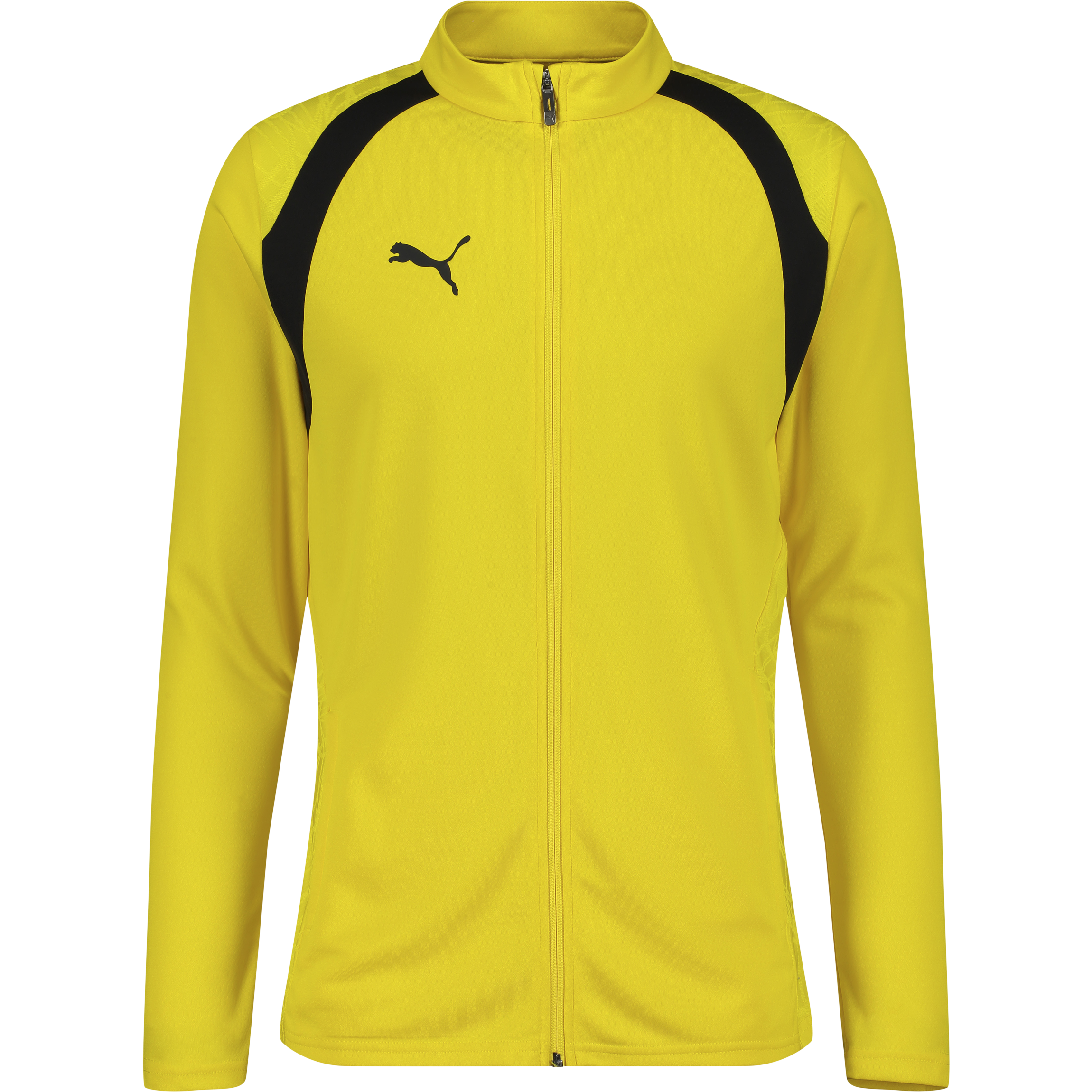 
PUMA, 
TEAMFINAL26 TRAINING JACKET, 
Detail 1
