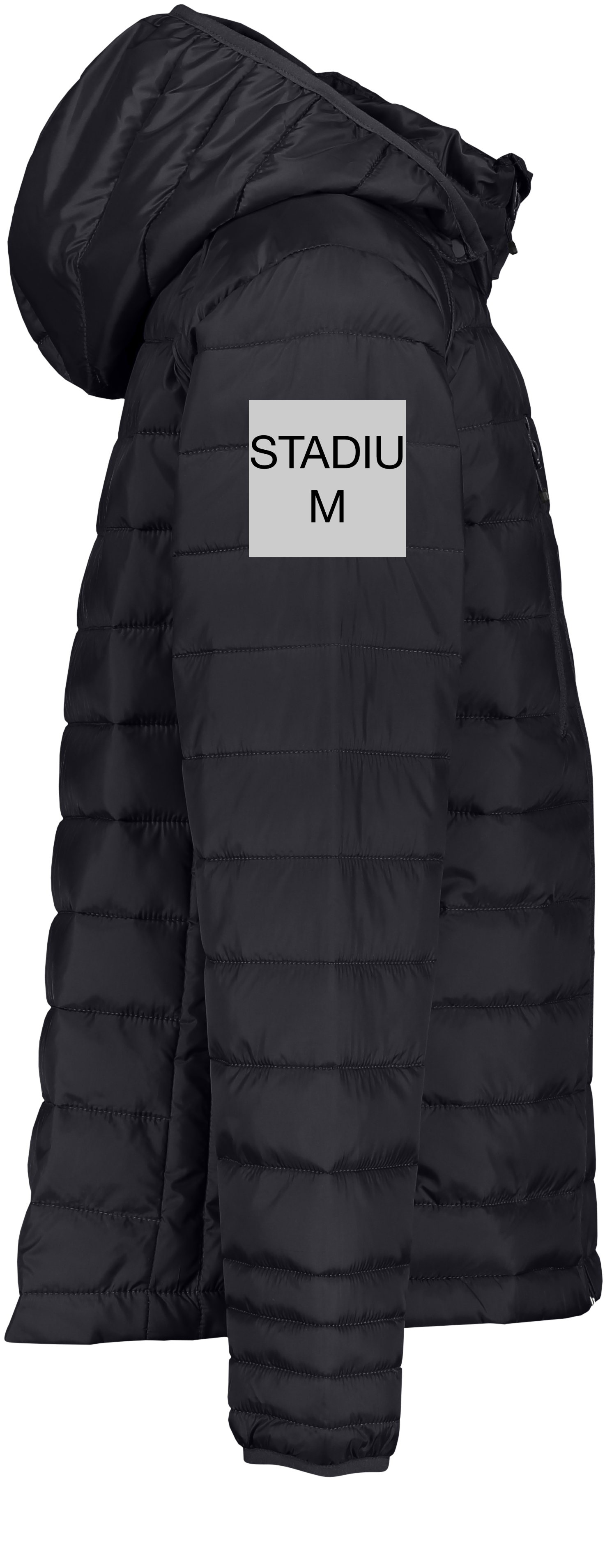 CLIQUE, Hudson Jkt Jr