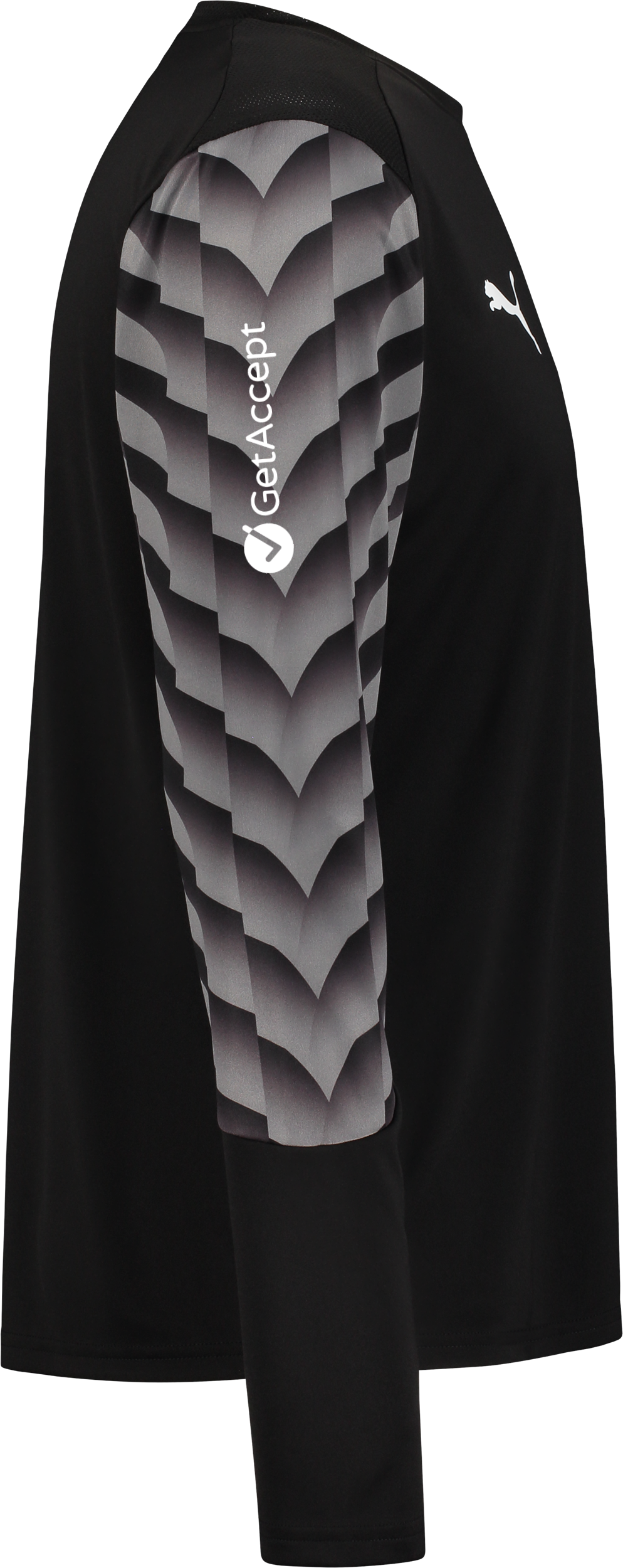 PUMA, TEAMLIGA26 GK JERSEY LS JR