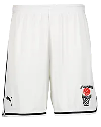 387202102101 PUMA Hoops Team Game Short 387202102101 PUMA Hoops Team Game Short Standard Small1x1