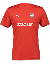 397379101101 PUMA T Rise Matchday Jsy 397379101101 PUMA T Rise Matchday Jsy Standard Small1x1