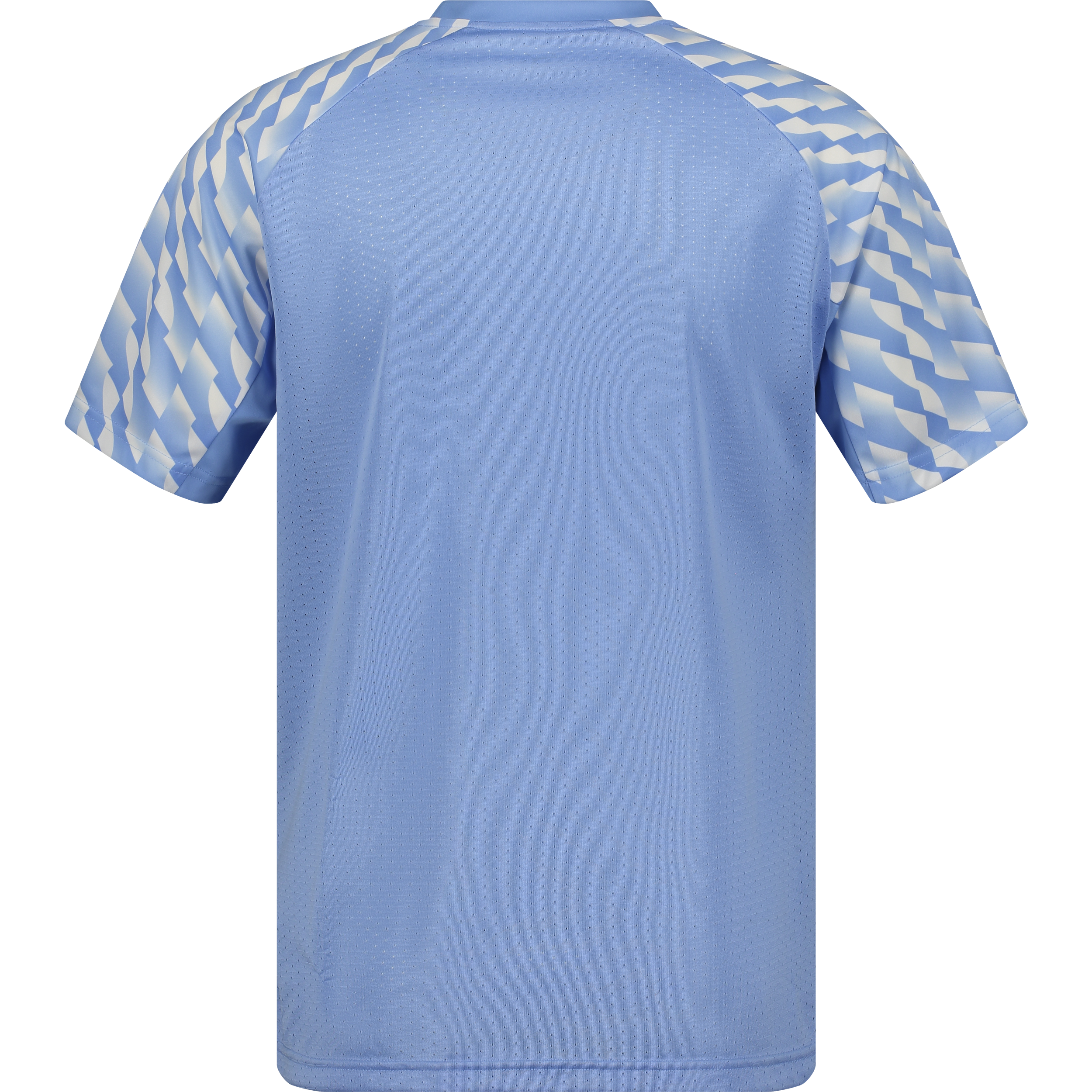 PUMA, TEAMLIGA26 JERSEY