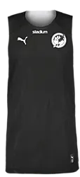 391385101101 PUMA Hoops Team Junior Reversible Practice Jersey 391385101101 PUMA Hoops Team Junior Reversible Practice Jersey Standard Small1x1