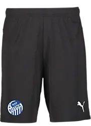 391942103101 PUMA T Goal Shorts 391942103101 PUMA T Goal Shorts Standard Small1x1
