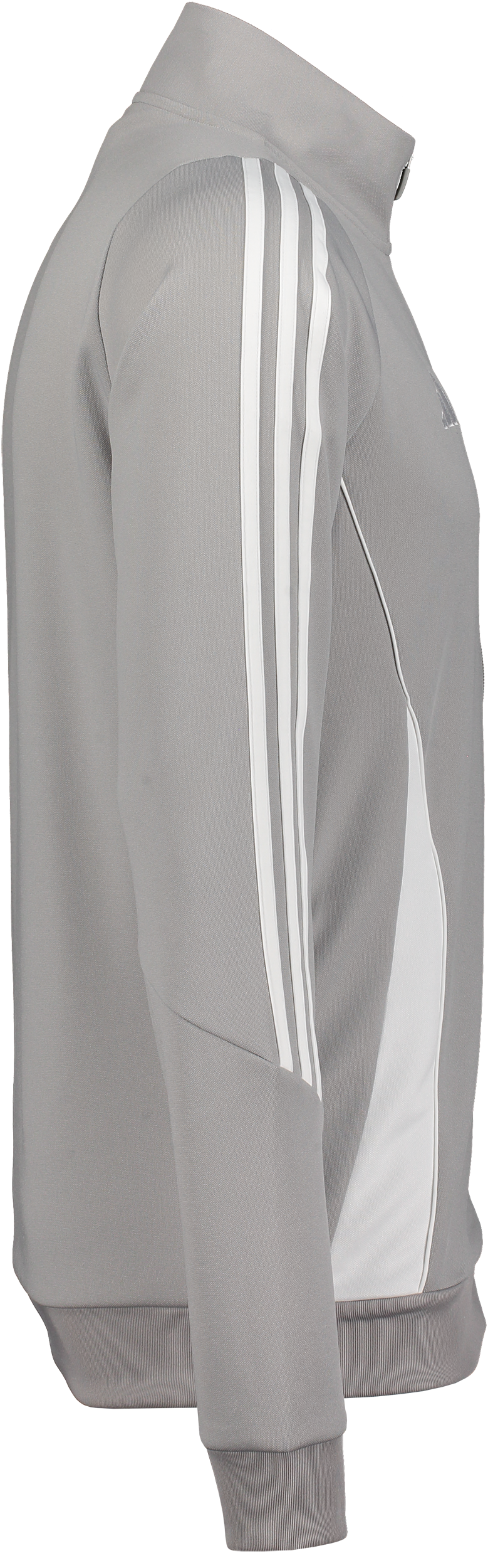 ADIDAS, Tiro24 Tr Jkt