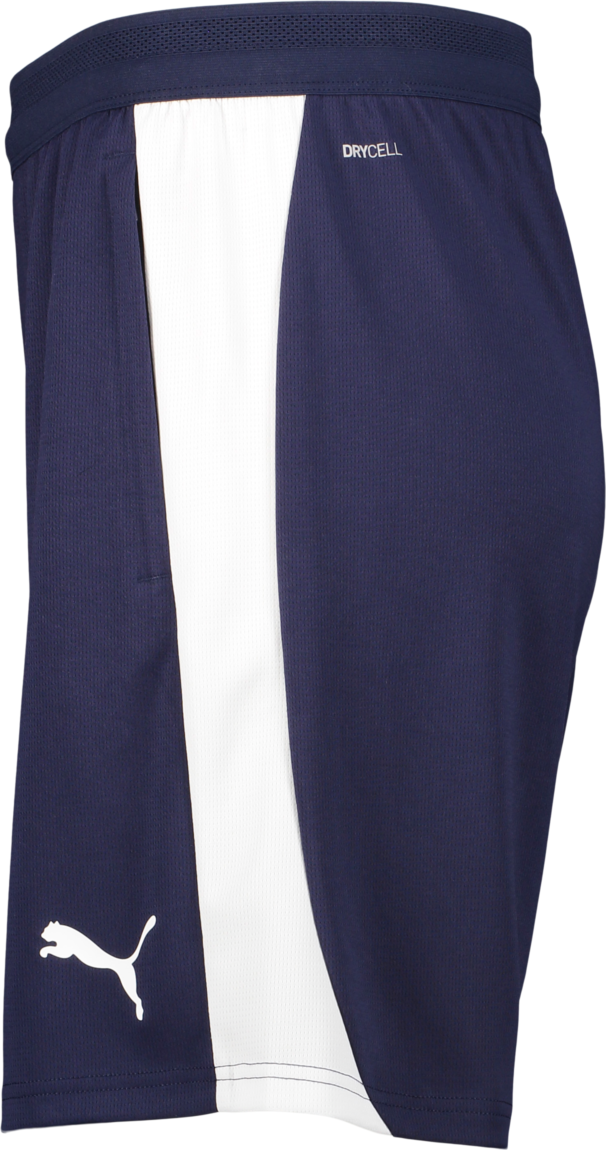 PUMA, TEAMFINAL26 TRAINING SHORTS