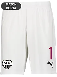 392286104101 PUMA T Goal Shorts Jr 392286104101 PUMA T Goal Shorts Jr Standard Small1x1