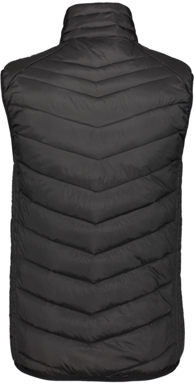 CLIQUE, Idaho Vest