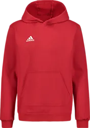 Ent22 Hoody Jr - Red Standard Small1x1