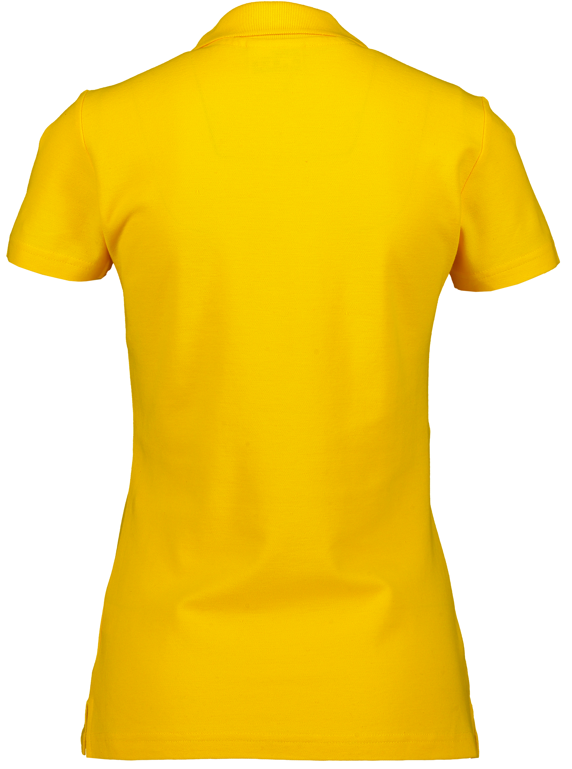 CLIQUE, Basic Polo W