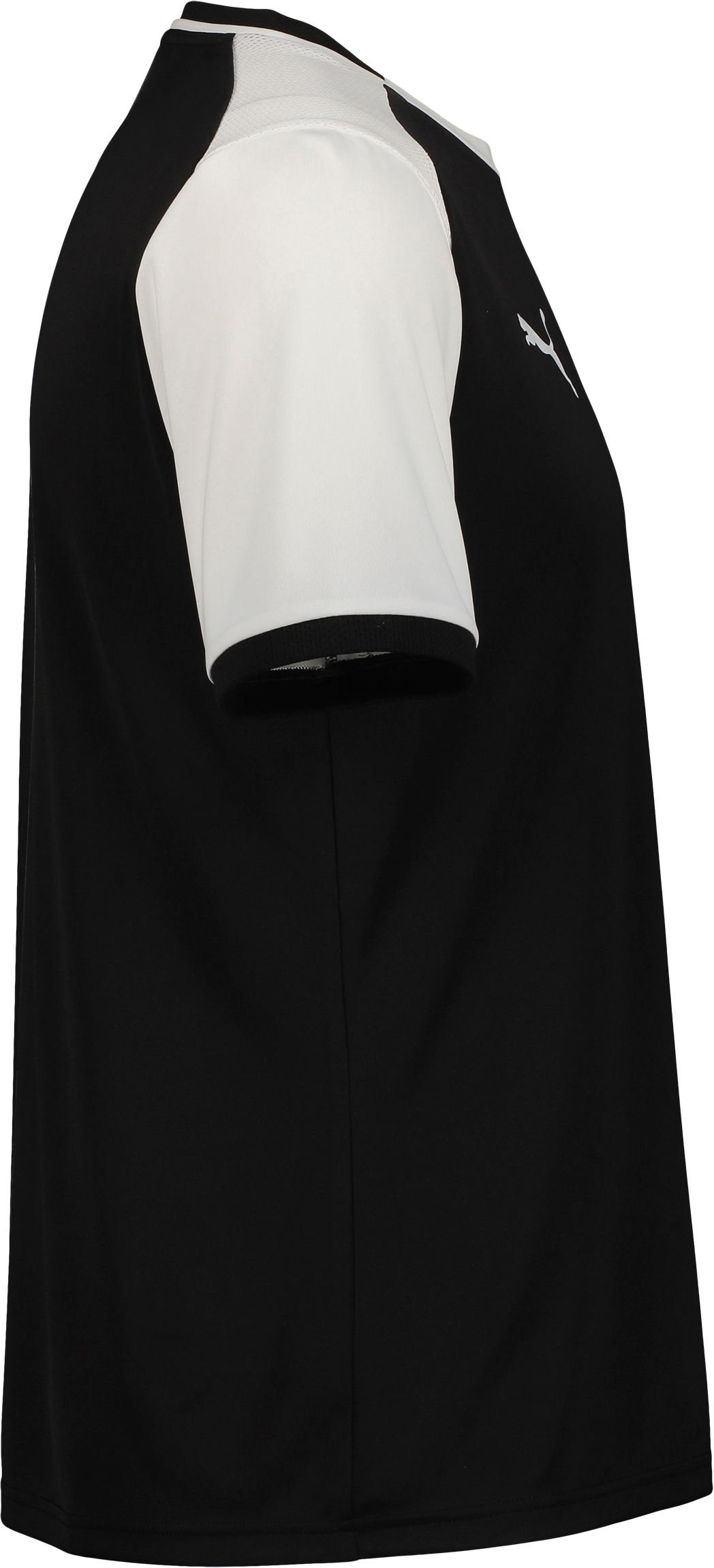 PUMA, TEAMLIGA26 MATCHDAY JERSEY