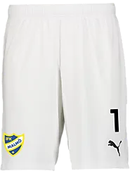 391942104101 PUMA T Goal Shorts 391942104101 PUMA T Goal Shorts Standard Small1x1