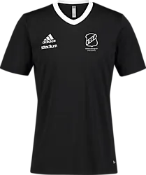 358914106101 ADIDAS Ent22 Jsy Tee 358914106101 ADIDAS Ent22 Jsy Tee Standard Small1x1