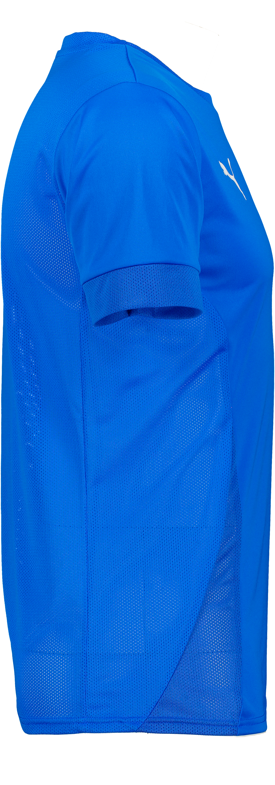 PUMA, T Goal Matchday Jsy Jr