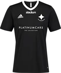 358914106101 ADIDAS Ent22 Jsy Tee 358914106101 ADIDAS Ent22 Jsy Tee Standard Small1x1