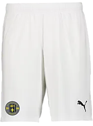 391942104101 PUMA T Goal Shorts 391942104101 PUMA T Goal Shorts Standard Small1x1