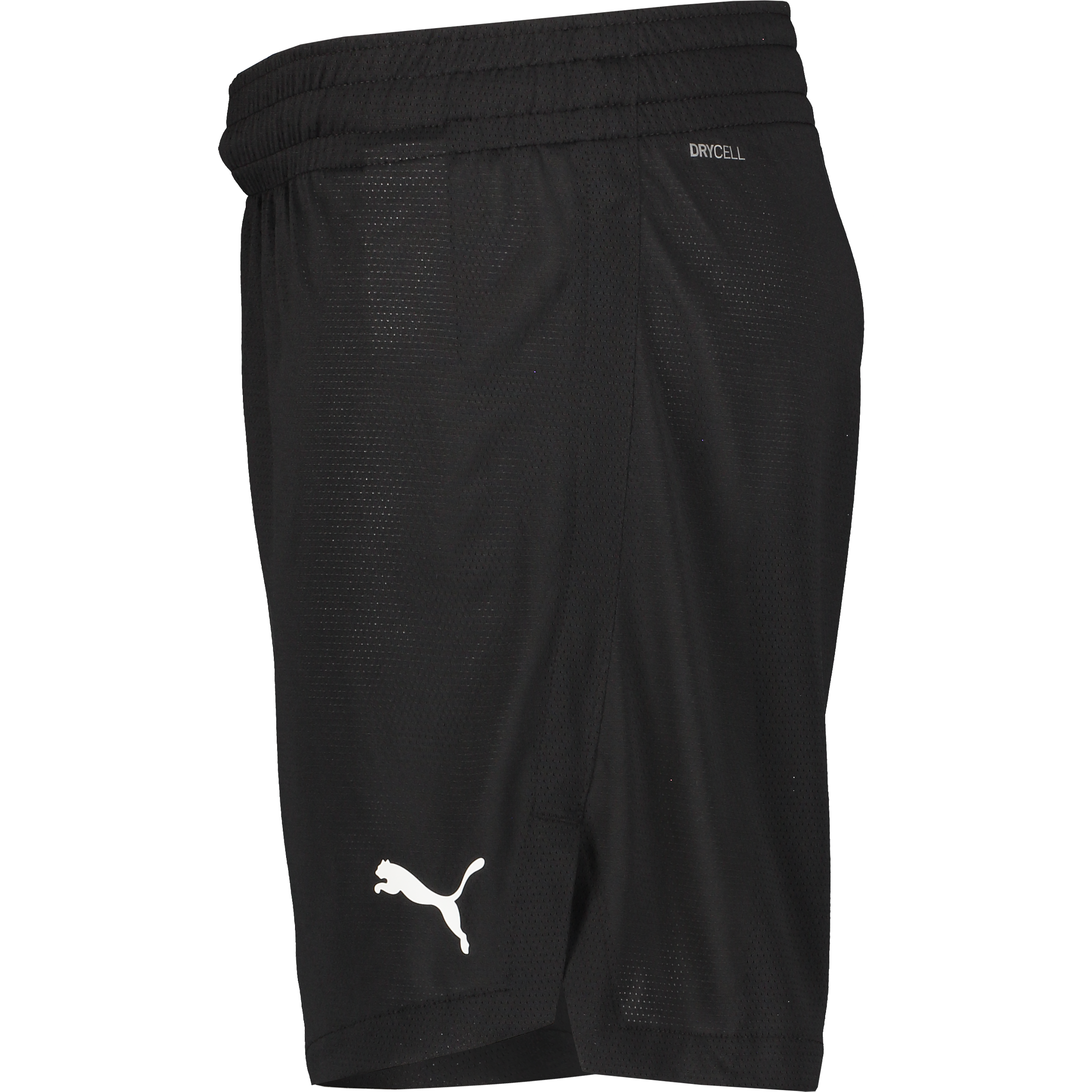 PUMA, TEAMJAWS PRACTICE SHORTS JR