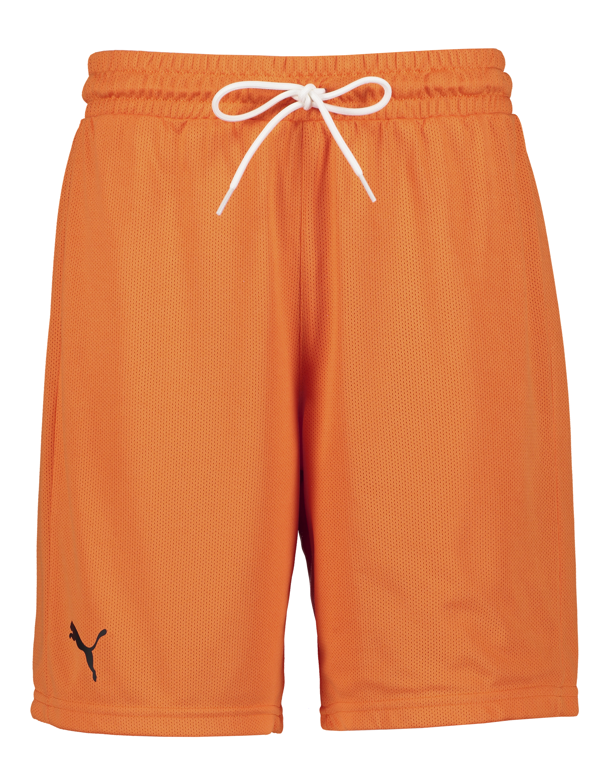 
PUMA, 
Hoops Team Practice Short, 
Detail 1
