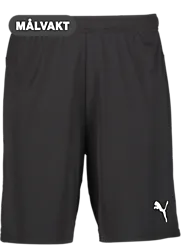 392286103101 PUMA T Goal Shorts Jr 392286103101 PUMA T Goal Shorts Jr Standard Small1x1