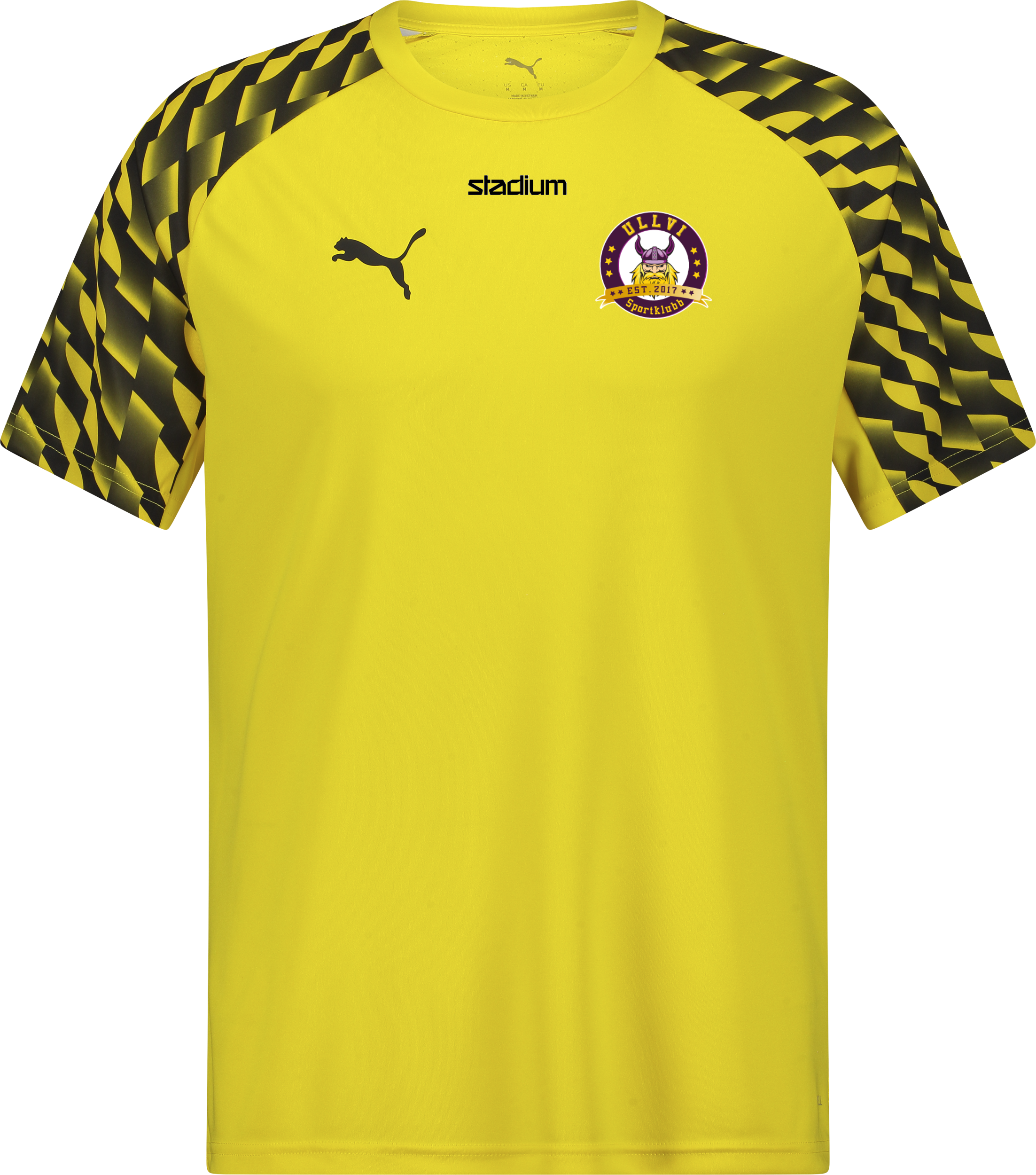 
PUMA, 
TEAMLIGA26 JERSEY JR, 
Detail 1
