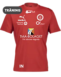 392096101101 PUMA T Goal Trg Jsy Jr 392096101101 PUMA T Goal Trg Jsy Jr Standard Small1x1