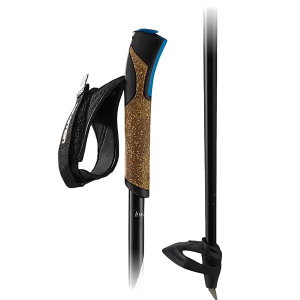 SALOMON Полюса R 60 Click