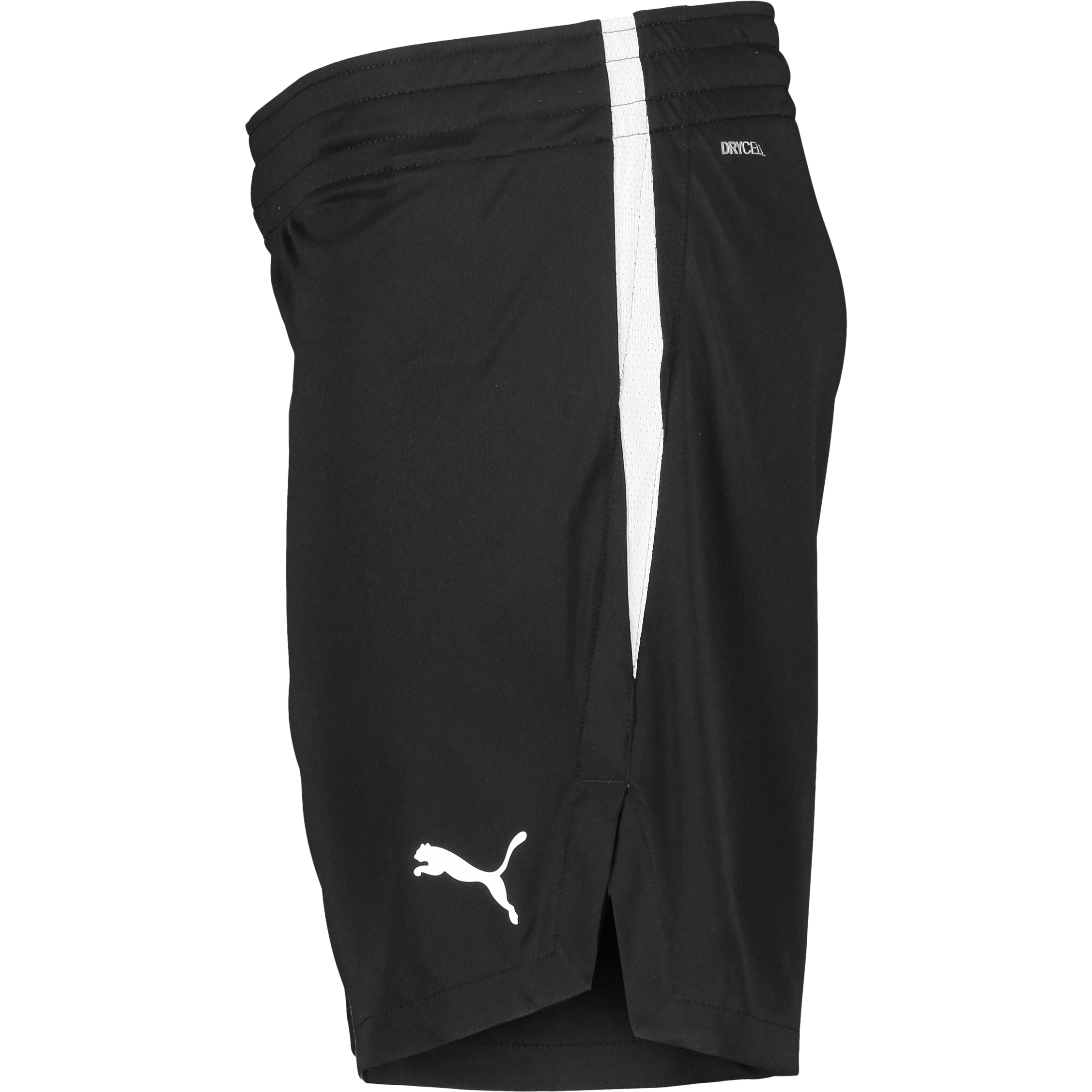 PUMA, TEAMJAWS STARTER SHORTS JR