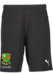 391942103101 PUMA T Goal Shorts 391942103101 PUMA T Goal Shorts Standard Small1x1