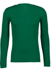 T Goal Bl Ls Jsy - Sport Grn/Pwr Grn Standard Small1x1