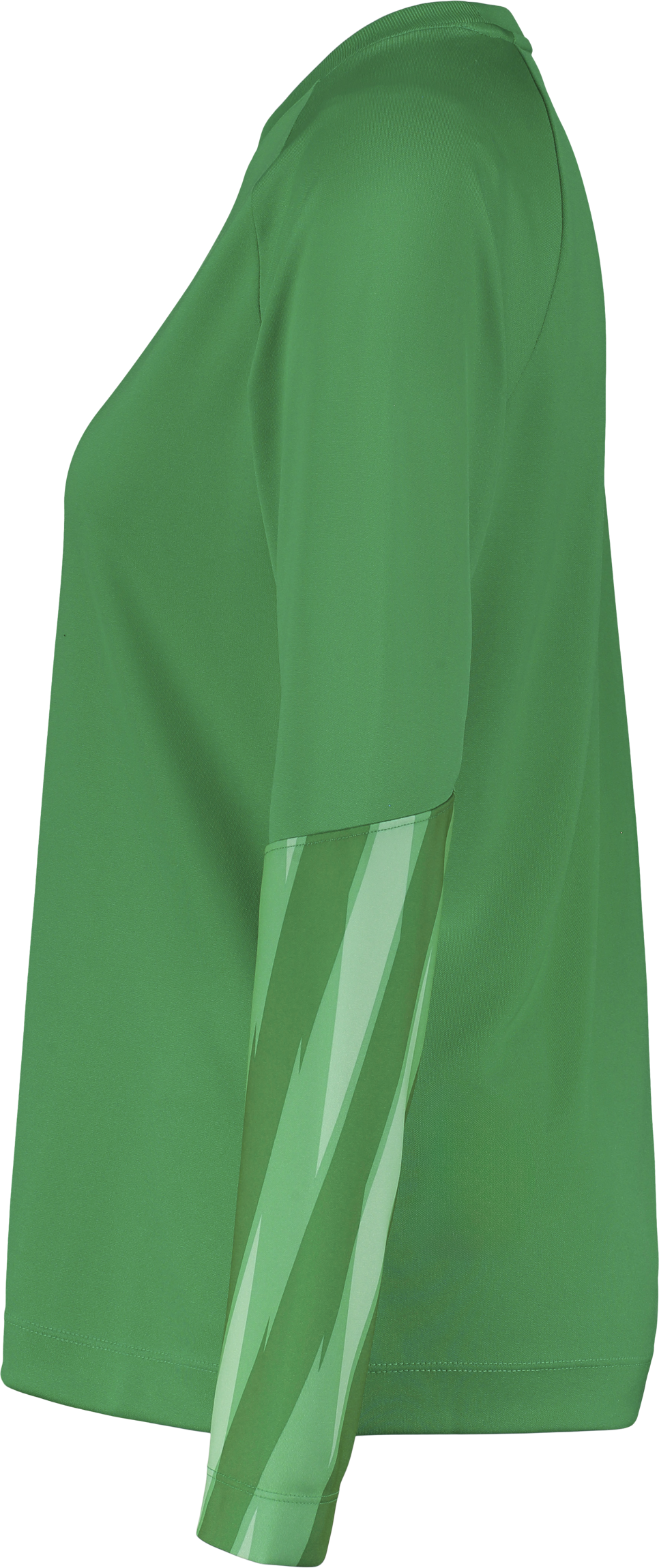 NIKE, PARK V GK LS JSY W