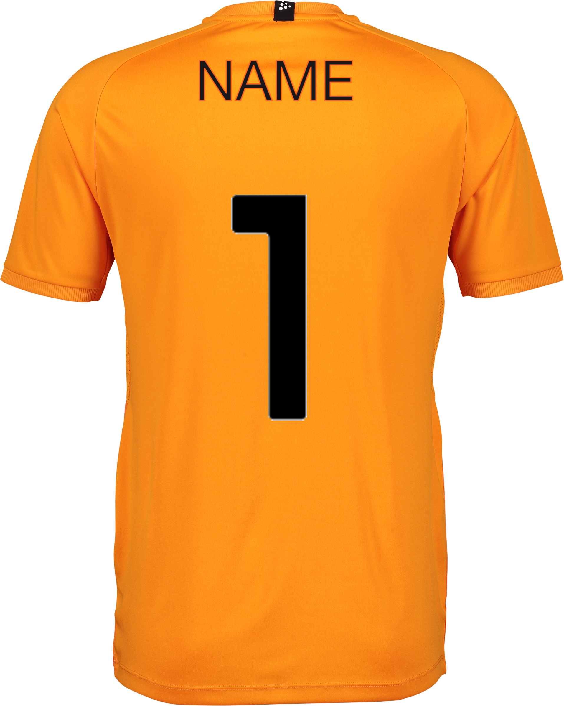 CRAFT, Progress 2.0 Graphic Jersey Jr