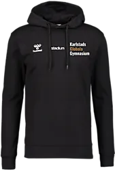 393934101101 HUMMEL Go 2.0 Hoodie 393934101101 HUMMEL Go 2.0 Hoodie Standard Small1x1