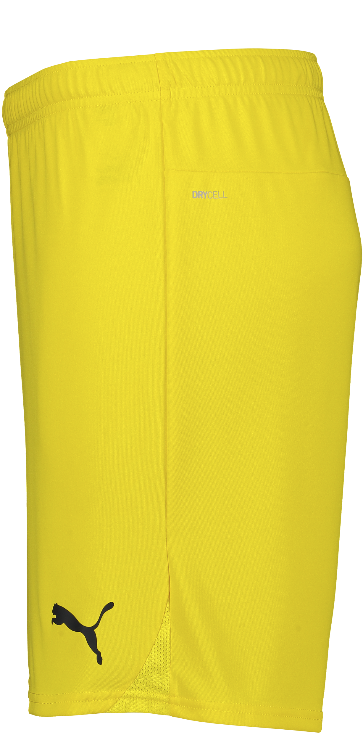 PUMA, T Goal Shorts