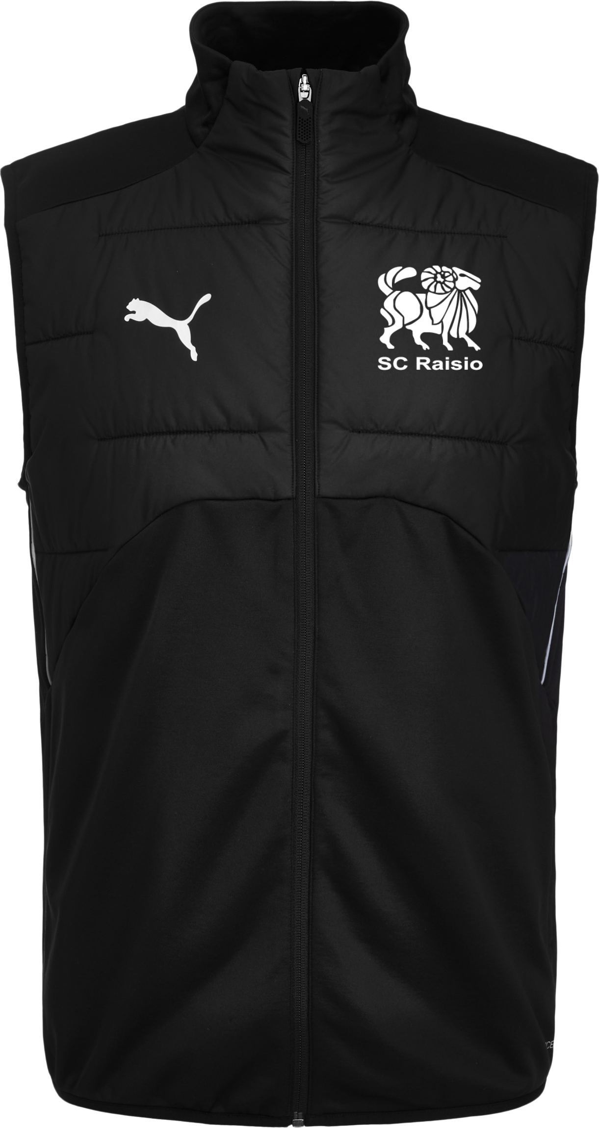 
PUMA, 
TEAMWINTER GILET, 
Detail 1
