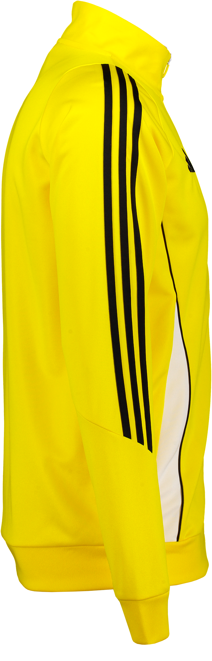 ADIDAS, Tiro24 Tr Jkt