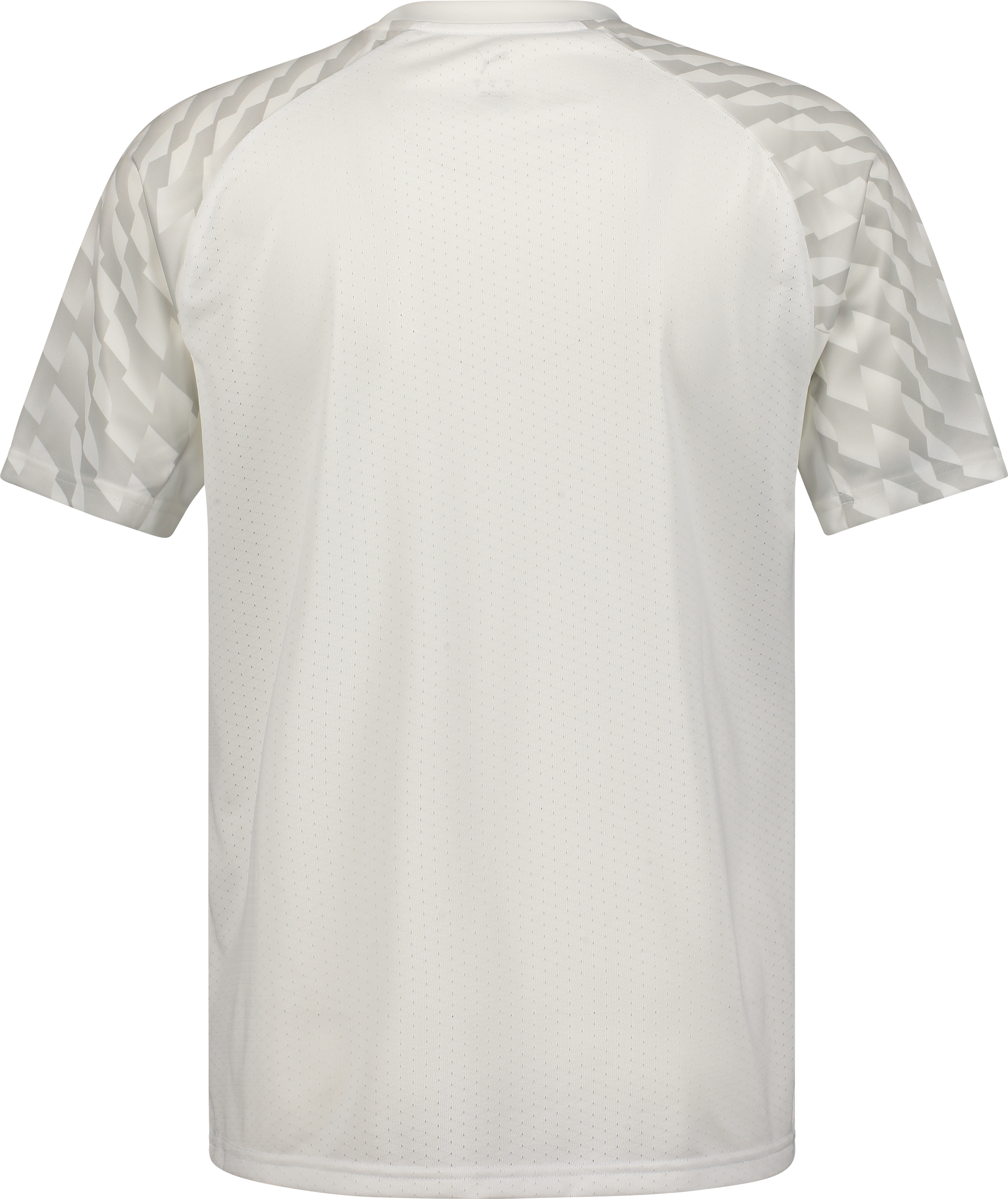 PUMA, TEAMLIGA26 JERSEY JR